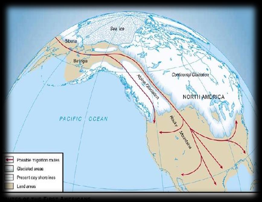 First Americans migrated or traveled from Asia.