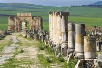 Day 3 Full day excursion from Fes - Meknes - Volubilis and back to Fes Wed, 31 May Excursion Meknes,Volubilis & Moulay Driss - Back to Fes: This day trip from Fès will enable you to visit the