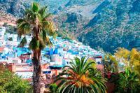 Day 5 Full day excursion from Fes to Chefchaouen and back to Fes Fri, 2 Jun Full day excursion from Fes to Chefchaouen and back to Fes: You will leave Fes to Chefchaouen and your guide will meet you