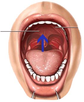 Deepest part of the tongue and the soft palate Soft Palate Hard Palate Letter Kaf