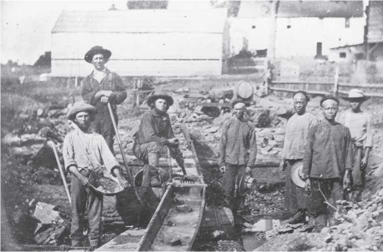 Staking a Claim Miners came to California from around the world to make their fortune. In the photo above, Anglo and Chinese miners work together in Auburn Ravine in 1852.