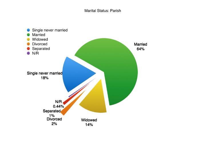 Question 3: What is your marital status? Among all parish sub-groups, the percentage of married is significantly higher.