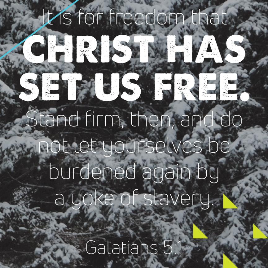Who Needs Christmas? / Week 3 DAY 12 LIVE // Does your life look like one of freedom or slavery? Are you caught up in school, sports, or material wealth just like everyone else?