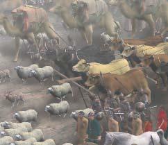 75,000 oxen and camels carried the Mongols felt tents, called ger, as well as supplies and gear.