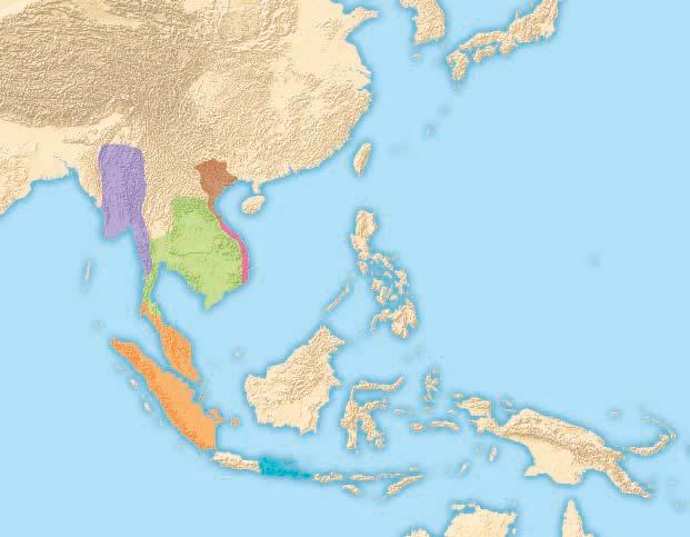 SOUTHEAST ASIA, 1200 110 E 120 E 130 E 140 E INDIA 20 N 10 N Irrawaddy R. PAGAN Pagan Andaman Sea Salween R. Red Mekong R. Chao Phraya R. CHAMPA Ayutthaya Angkor ANGKOR Gulf of Thailand DAI VIET R.