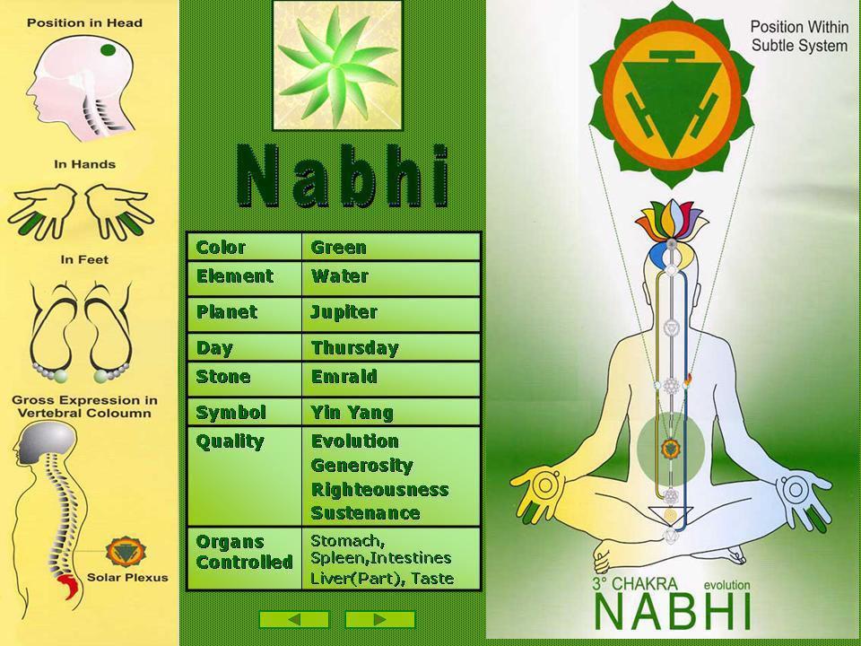 Introduction to Chakra qualities - Nabhi (Solar Plexus) Element : Water Physical aspect :Looks after liver, stomach and intestines, spleen and pancreas Qualities : Sense of generosity, complete