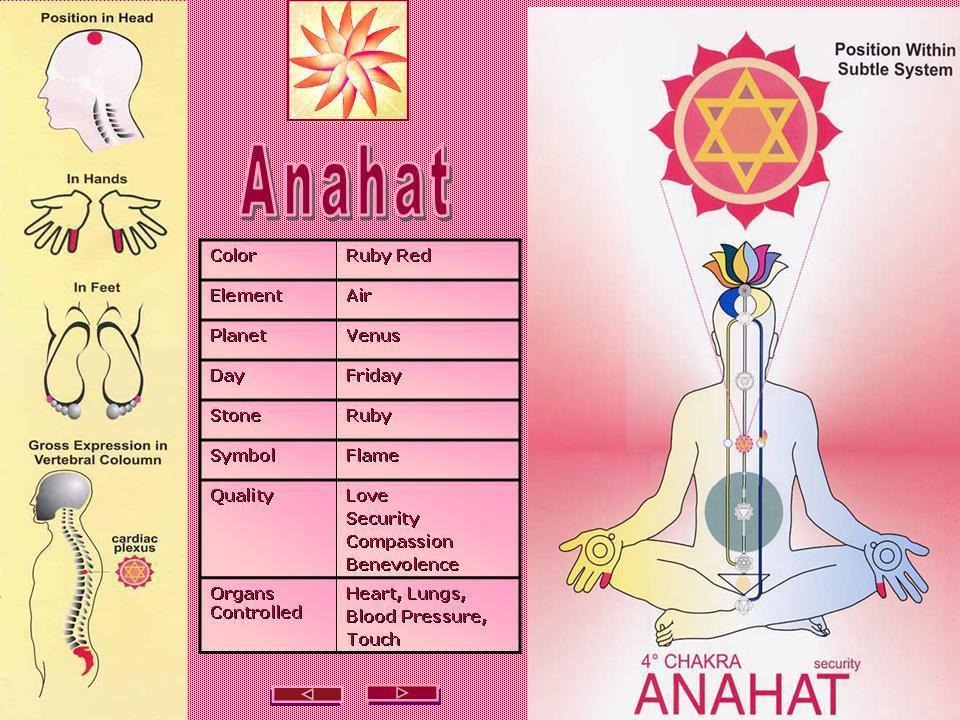 Introduction to Chakra qualities - Anahata (Cardiac Element : Air Plexus) Physical Aspect : Looks after heart & lungs Qualities : Creation/ nourishment of antibodies, compassion, pure love, complete