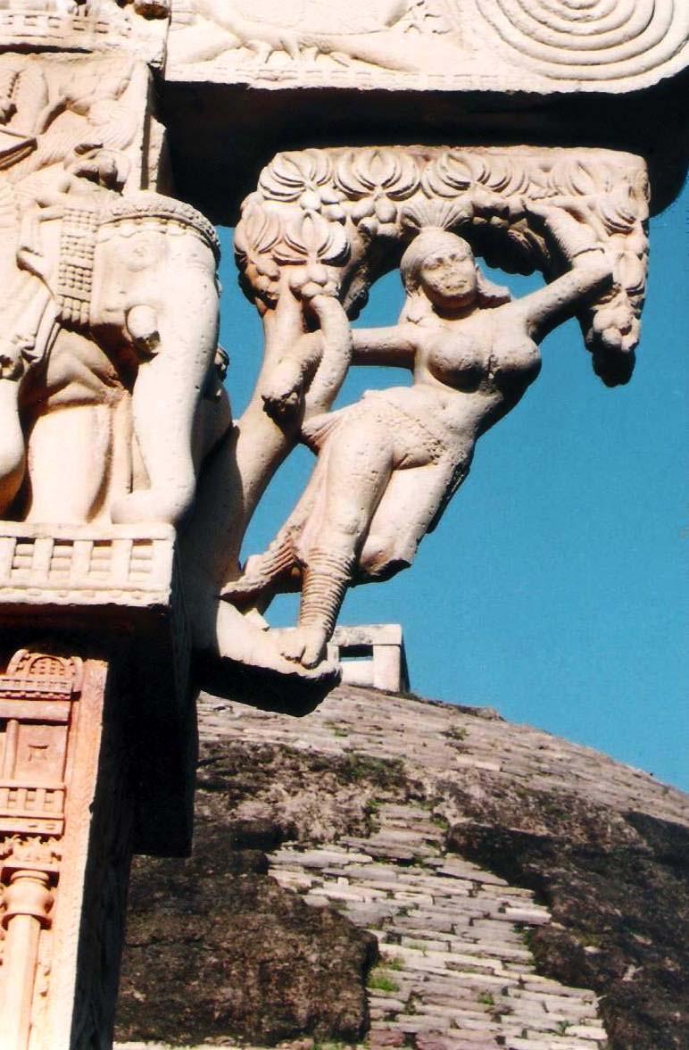 Shalabhanjika on Eastern Torana (gateway), is the best known sculpture of Sanchi complex. She is an absorbed fertility goddess who is kicking the tree into blossom.