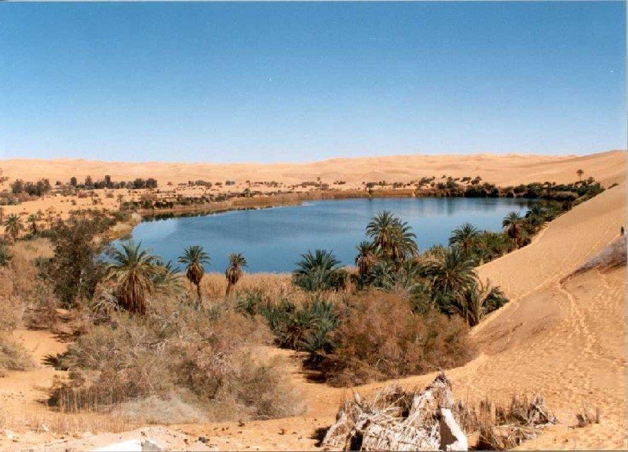 The Sahara also contains oases where the