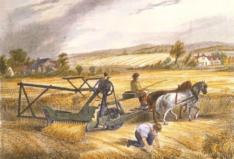 steel plow enabled farmers to replace oxen w/ horses Cyrus