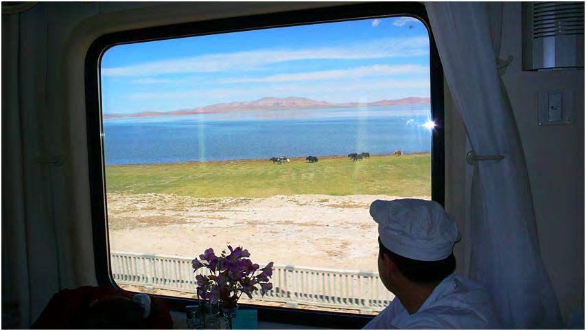 On board of the famous Qinghai-Tibet highland train. Truly a lifetime experience! The nearly 2,000-kilometer QingHai-Tibet train ride was a highlight of our tour.