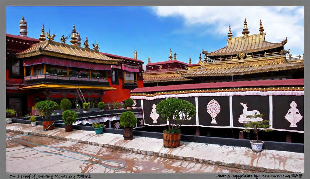 Followed with an afternoon visit to the Jokhang Monastery, it is part of the UNESCO World Heritage Site of Culture - Potala Palace, Jokhang Temple Monastery and Norbulingka.