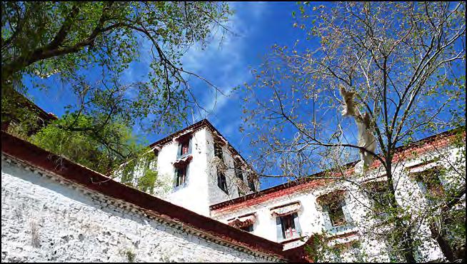 To many people, Potala Palace is the must to visit site when coming to Tibet Nowadays, the visit to Potala Palace
