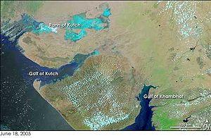 The Sarasvati It flowed parallel to the Indus river as a