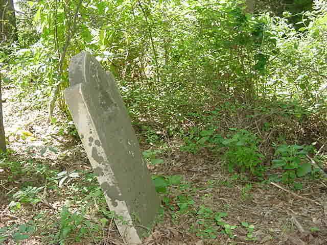 Adkisson Cemetery was surveyed on July 23, 2003, accompanied by Bobby King. Biographical information was furnished by the Hon. Richard B.
