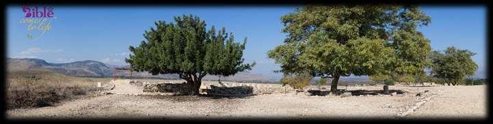 DAY 5 MT OF BEATITUDES / CAESAREA PHILIPPI / DAN/ ROAD TO DAMESCUS / GOLAN HIGHTS We will start our day by driving to Mount of Beatitudes the place where Jesus gave the Sermon on the Mount (Matthew