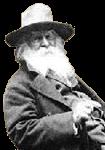 Walt Whitman Non Conformist, transcendentalist inspired poet A morning-glory at my