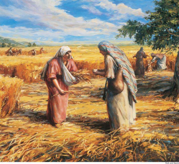More Sound byte Materials- Connecting the Value to Everyday Life According to the Torah, Farmers are not allowed to pick all of the grapes from their vines, nor can they pick the wheat that grows in