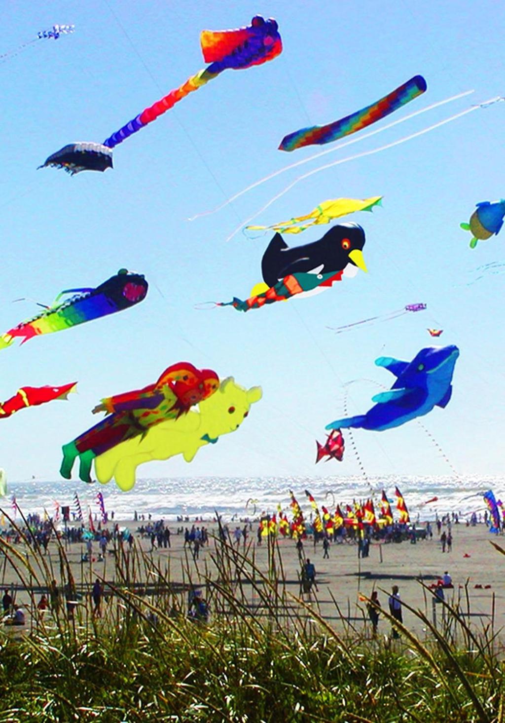 Kite flying is more than a pastime in Afghanistan -- it is a national obsession.