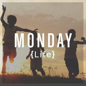 Monday: Life Life as a Project and Role Models Morning Text for Reflection From Maximus [I have learnt the importance of these things]: to be master of oneself and not carried this way and that; to