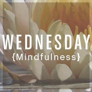 Wednesday: Mindfulness Stoic Mindfulness and Examining your Impressions Morning Text for Reflection People look for retreats for themselves, in the country, by the coast, or in the hills; and you too