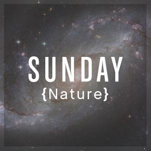Sunday: Nature Nature and the View from Above Morning Text for Reflection The works of the gods are full of providence, and the works of fortune are not separate from nature or the interweaving and