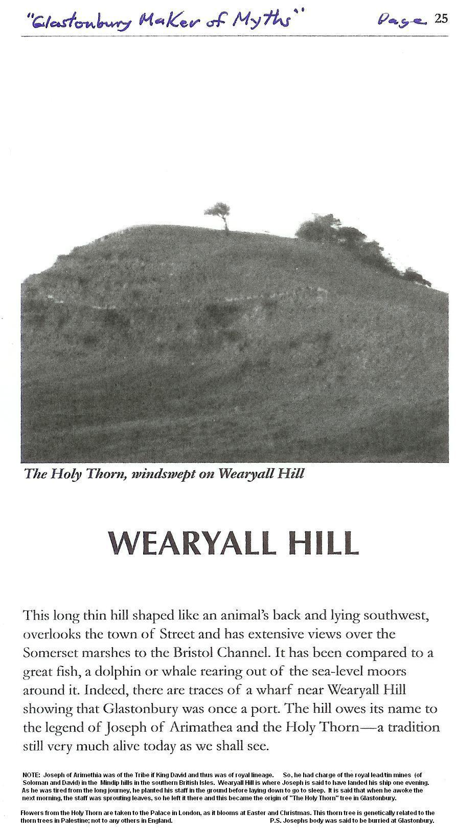 WEARYALL HILL On top stands the Holy Thorn tree! Is this the hill that Joseph of Arimethia docked by and slept on?