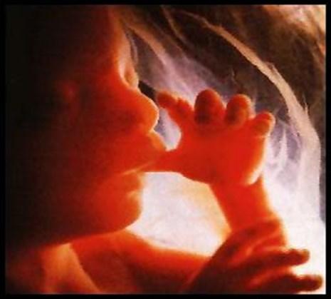 Jewish views made in the image of God ~ sanctity of life/ abortion For many Jews, God is believed to be the sole creator, giver and taker of life.