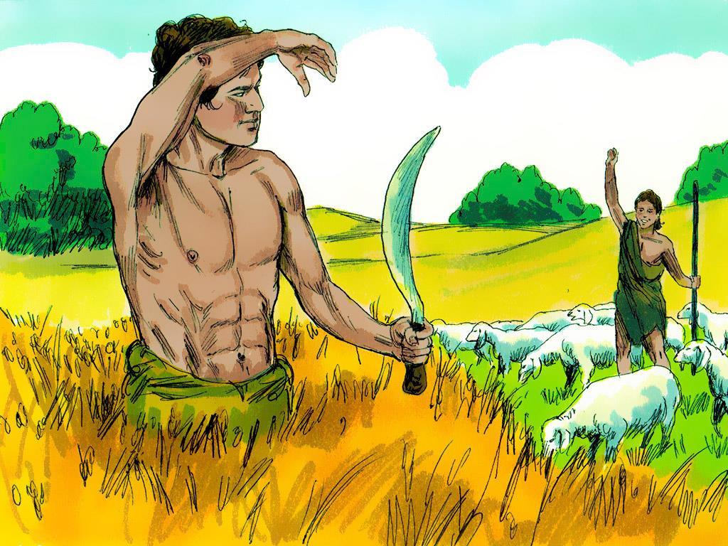 3. When the brothers grew up Cain became a farmer who worked in the
