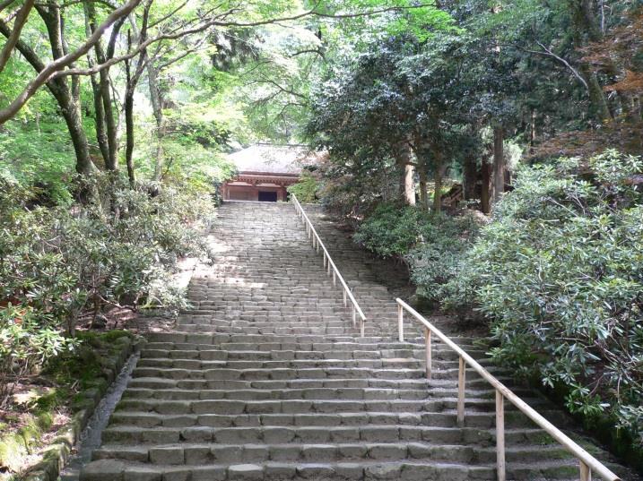 stone stairs are surrounded by fresh green trees and pale