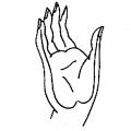Bhumisparsa Mudra Touching the earth as Gautama did, to invoke the earth as witness to the truth of his words. Varada Mudra Fulfilment of all wishes; the gesture of charity.