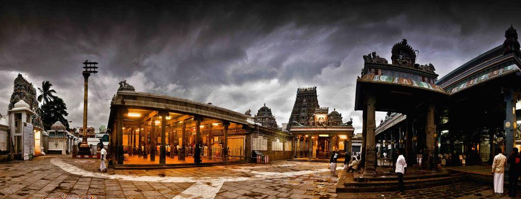 Later visit Mylapore temple. Overnight in Park Hyatt : Morning flight to Trichy. On arrival, drive to Tanjore & visit temples.