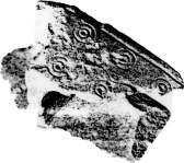 civilization. (Bibby, G., 1970, Acccording to the standard of Dilmun, Kuml 20: 349-53). Two Persian Gulf seals show a short-horned bull.