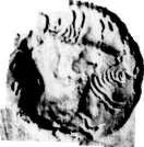 Clay sealing (DK 9281--Mohenjodaro). Steatite seal (DK 8321--Mohenjodaro). Mesopotamia The sealing can be divided into two halves.