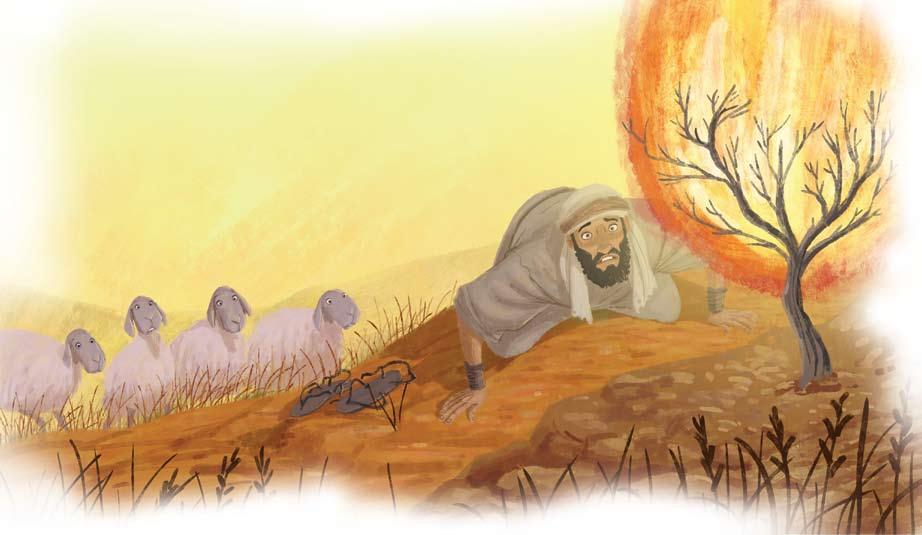 A burning bush EXODU S 3:1 4:17 Moses grew up in the palace but he saw what was happening to his people. He knew that the king was cruel to them. Moses hated what he saw day after day.