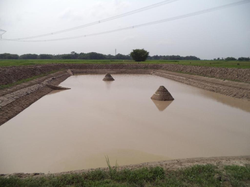 176990/- Mandays Created Future Use Of This KHET