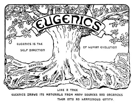 Eugenics A social philosophy advocating the improvement of human genetic traits through the promotion of higher reproduction of people