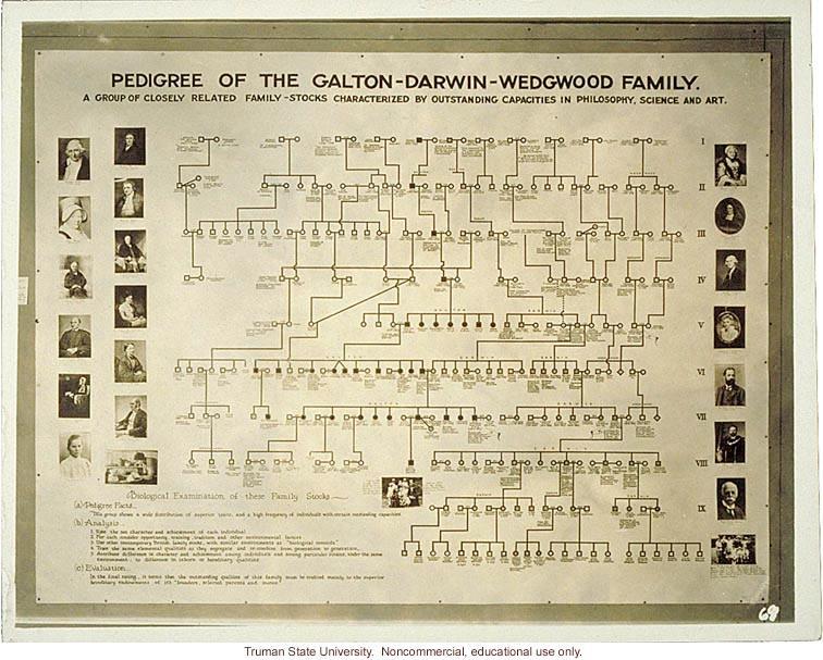 Purposeful Inbreeding It was discovered that the Darwins, along with the Wedgewood and Galton families