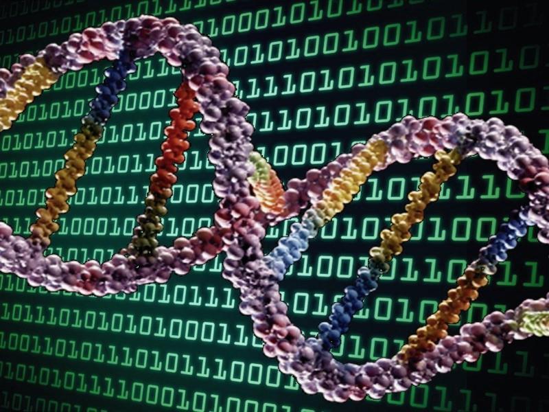 Intelligent Source Required for Data There are approximately 750,000,000 bytes of information in a set of human DNA.