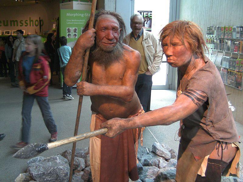 Neanderthal Man Uncountable thousands of dollars and hours have been spent creating