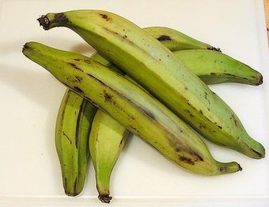 18. Explain what this is (not a banana but bananas are a variety of this) and what its presence in sub-saharan Africa proves. 19.