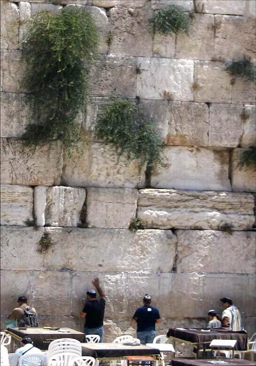 This image of the Wailing Wall in Jerusalem really excites me, and the walls for