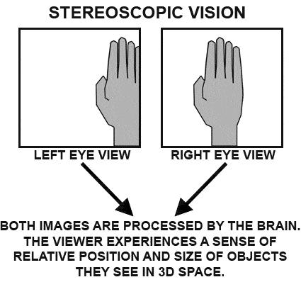 STEREOSCOPIC VISION: OR, THE