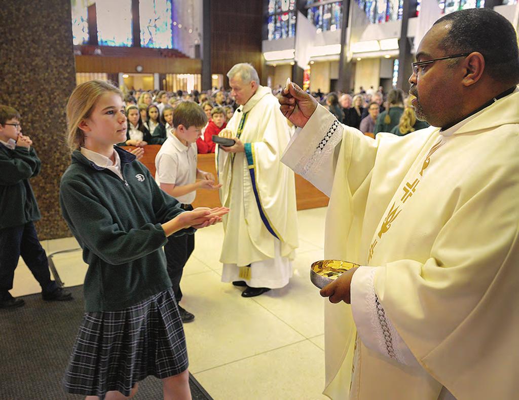 Our schools are divided into four categories, and together we are one family of Catholic schools.