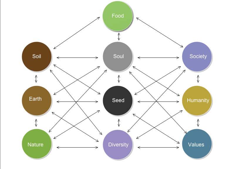 Humanity Holistic Food Systems Marc Tormo