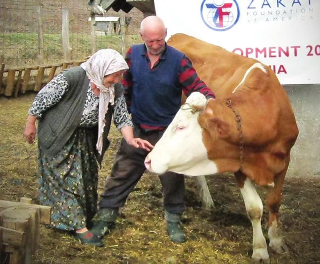 thousands of Bosnians who were largely Muslim. In an effort to rebuild displaced communities in Bosnia, Zakat Foundation of America (ZF) launched its Livestock Development Project.