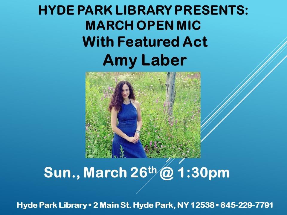 As for this month, we welcome another wonderful regional artist making her debut. Amy Laber is a renowned folk and Americana artist.