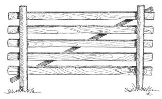 Kõige lihtsam puittaratüüp on umbes 2 meetri pikkune lihtne tara diagonaalse latiga, mis suurendab tara stabiilsust. Võite teha mitu taramoodulit ja need ühendada.