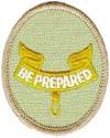 The Boy Scouts of America recognizes the boy s achievement by awarding badges: Scout, Tenderfoot,