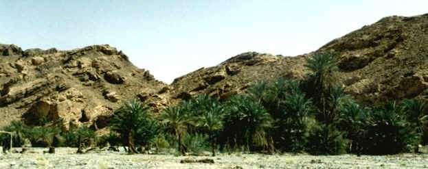 The two wide north-south wadis mentioned above both end to the south at an east-west wadi, which again leads back to the sea.